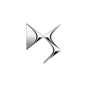 دی اس